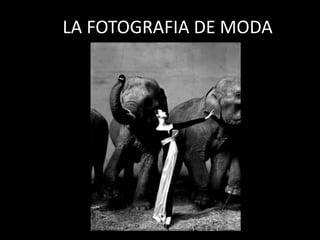 LALA FOTOGRAFIA DE MODA




        RAUL BASOMBA DOLDAN
 