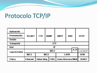 Protocolo TCP/IP
 