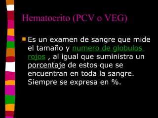 Hematocrito (PCV o VEG) ,[object Object]