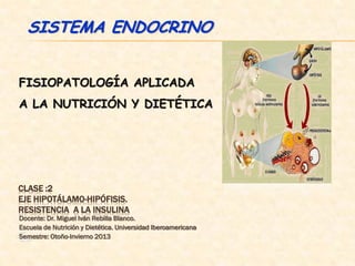 SISTEMA ENDOCRINO


FISIOPATOLOGÍA APLICADA
A LA NUTRICIÓN Y DIETÉTICA




CLASE :2
EJE HIPOTÁLAMO-HIPÓFISIS.
RESISTENCIA A LA INSULINA
Docente: Dr. Miguel Iván Rebilla Blanco.
Escuela de Nutrición y Dietética. Universidad Iberoamericana
Es
Semestre: Otoño-Invierno 2013
 