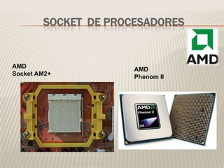 SOCKET DE PROCESADORES
AMD
Socket AM2+
AMD
Phenom II
 