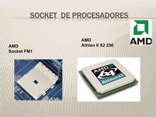 SOCKET DE PROCESADORES
AMD
Socket FM1
AMD
Athlon II X2 250
 
