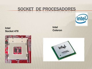 SOCKET DE PROCESADORES
Intel
Socket 478
Intel
Celeron
 