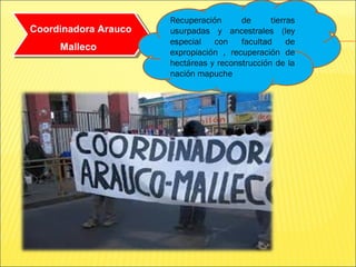 Coordinadora Arauco
Malleco
Coordinadora Arauco
Malleco
Recuperación de tierras
usurpadas y ancestrales (ley
especial con facultad de
expropiación , recuperación de
hectáreas y reconstrucción de la
nación mapuche
 