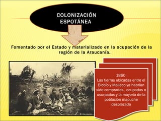 Fomentado por el Estado y materializado en la ocupación de la
región de la Araucanía.
COLONIZACIÓN
ESPOTÁNEA
1860
Las tierras ubicadas entre el
Biobío y Malleco ya habrían
sido compradas , ocupadas o
usurpadas y la mayoría de la
población mapuche
desplazada
1860
Las tierras ubicadas entre el
Biobío y Malleco ya habrían
sido compradas , ocupadas o
usurpadas y la mayoría de la
población mapuche
desplazada
 