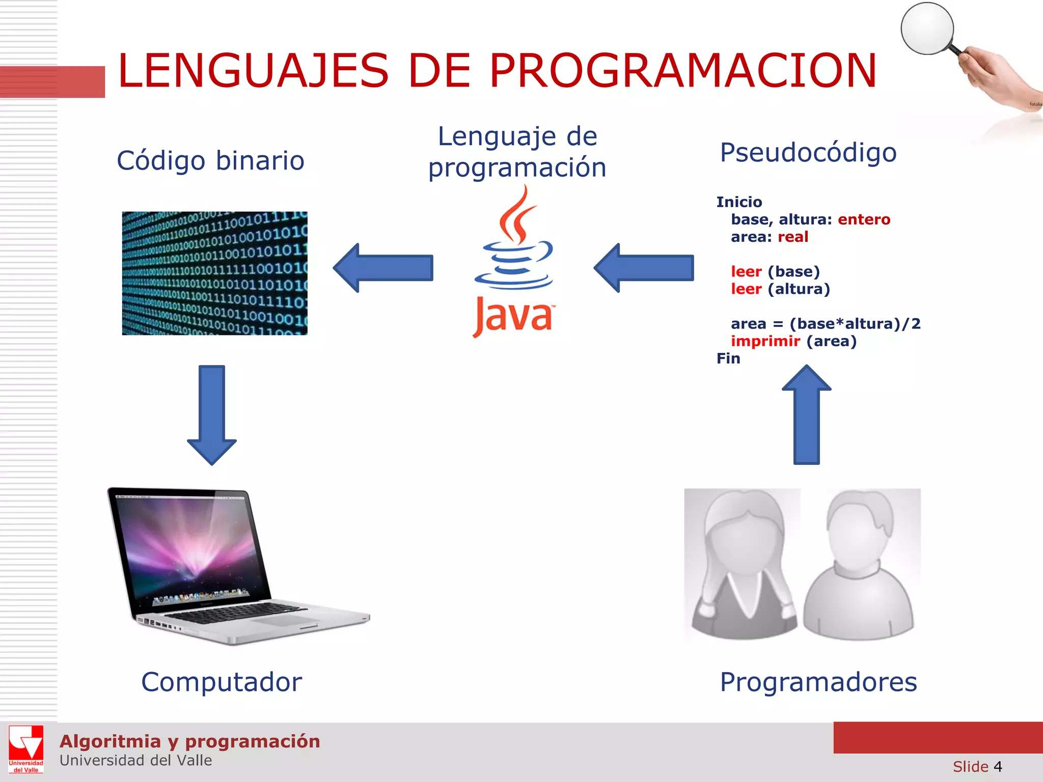 LENGUAJES DE PROGRAMACION
Código binario

Lenguaje de
programación

Pseudocódigo
Inicio
base, altura: entero
area: real
leer (base)
leer (altura)
area = (base*altura)/2
imprimir (area)
Fin

Computador

Programadores

Algoritmia y programación
Universidad del Valle

Slide 4

 