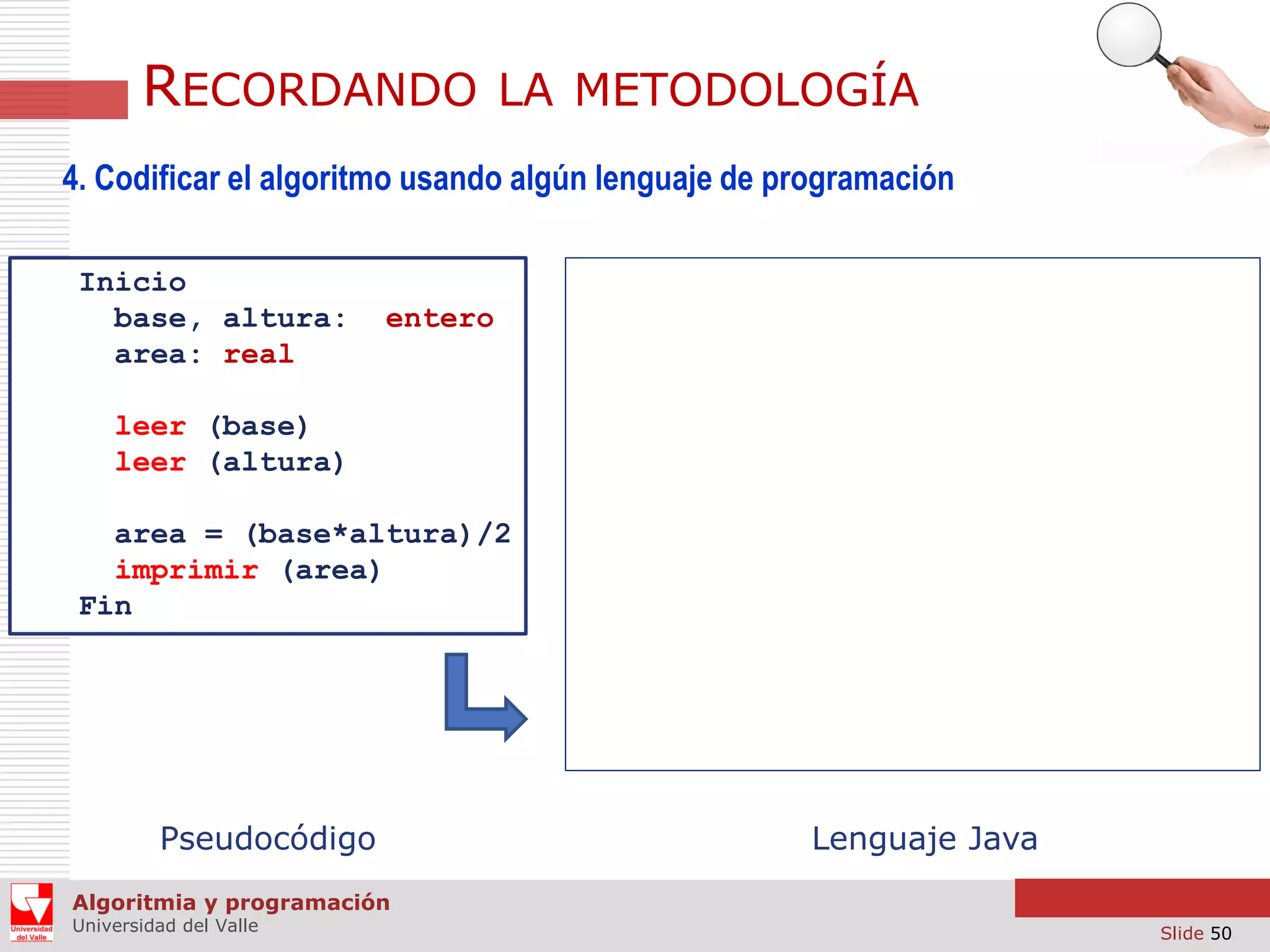 RECORDANDO

LA METODOLOGÍA

4. Codificar el algoritmo usando algún lenguaje de programación
Inicio
base, altura:
area: real

entero

leer (base)
leer (altura)
area = (base*altura)/2
imprimir (area)
Fin

Pseudocódigo

Lenguaje Java

Algoritmia y programación
Universidad del Valle

Slide 50

 
