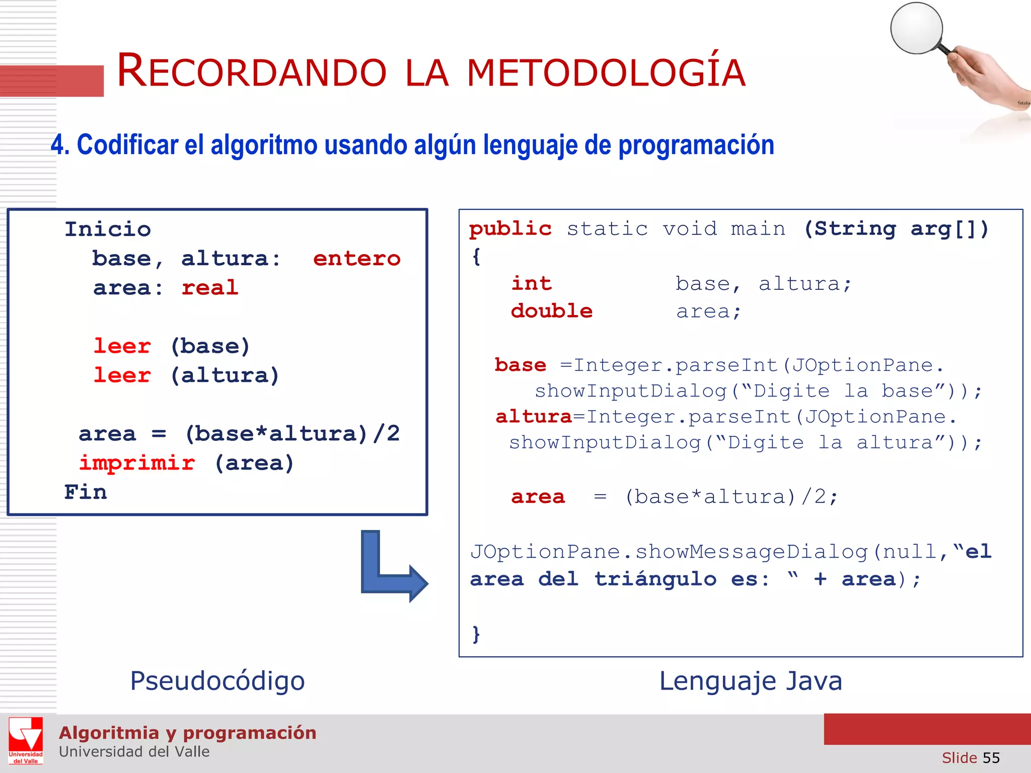 RECORDANDO

LA METODOLOGÍA

4. Codificar el algoritmo usando algún lenguaje de programación
Inicio
base, altura:
area: real

entero

public static void main (String arg[])
{
int
base, altura;
double
area;

leer (base)
leer (altura)

base =Integer.parseInt(JOptionPane.
showInputDialog(“Digite la base”));
altura=Integer.parseInt(JOptionPane.
showInputDialog(“Digite la altura”));

area = (base*altura)/2
imprimir (area)
Fin

area

= (base*altura)/2;

JOptionPane.showMessageDialog(null,“el
area del triángulo es: “ + area);
}

Pseudocódigo

Lenguaje Java

Algoritmia y programación
Universidad del Valle

Slide 55

 