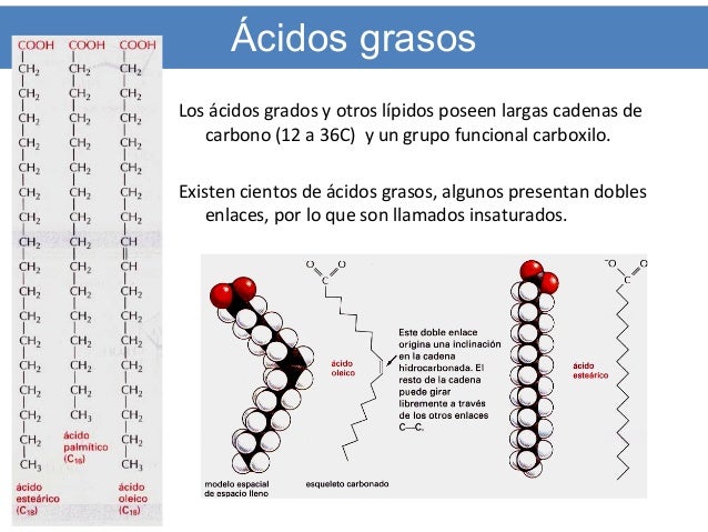 Clase 2. biomoleculas_i.ppt