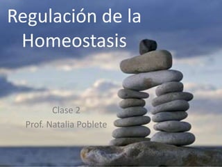 Regulación de la
Homeostasis
Clase 2
Prof. Natalia Poblete
 