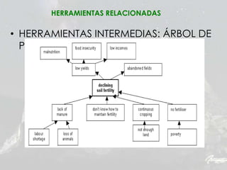 • HERRAMIENTAS INTERMEDIAS: ÁRBOL DE
PROBLEMAS
HERRAMIENTAS RELACIONADAS
 