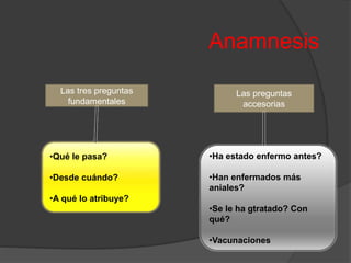 Anamnesis
Las tres preguntas
fundamentales
Las preguntas
accesorias
•Qué le pasa?
•Desde cuándo?
•A qué lo atribuye?
•Ha estado enfermo antes?
•Han enfermados más
aniales?
•Se le ha gtratado? Con
qué?
•Vacunaciones
 