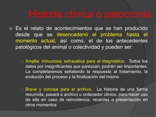 Historia clínica o patocronia
 Es el relato de acontecimientos que se han producido
desde que se desencadenó el problema hasta el
momento actual, así como, el de los antecedentes
patológicos del animal o colectividad y pueden ser:
○ Amplia: minuciosa, exhaustiva para el diagnóstico. Todos los
datos por insignificantes que parezcan, podrán ser importantes.
La completaremos señalando la respuesta al tratamiento, la
evolución del proceso y la finalización del mismo
○ Breve y concisa para el archivo. La historia de una forma
resumida, pasará a archivo u ordenador clínico, para hacer uso
de ella en caso de reincidencia, recaídas o presentación en
otros momentos
 