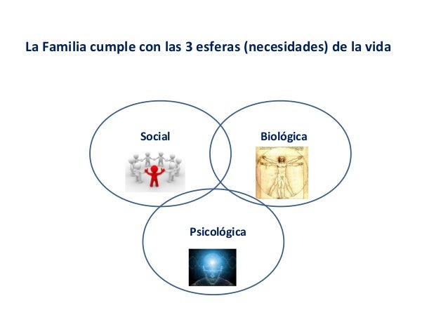 Las Tres Esferas Del Ser Humano