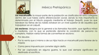 México Prehispánico
Los macehualtin: la mayor parte de la población se clasificaba en esta categoría
dentro del cual había...