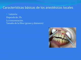 Características básicas de los anestésicos locales
 Latencia:
Depende de: Ph
La concentración.
Tamaño de la fibra (grosor y diámetro)
 