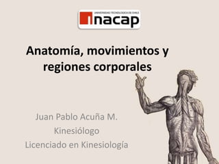 Anatomía, movimientos y
regiones corporales
Juan Pablo Acuña M.
Kinesiólogo
Licenciado en Kinesiología
 
