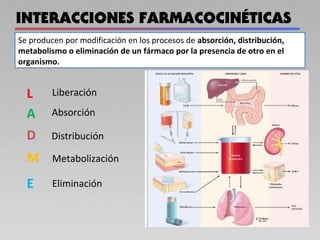 Se producen por modificación en los procesos de absorción, distribución,
metabolismo o eliminación de un fármaco por la presencia de otro en el
organismo.
L
A
D
M
E
Liberación
Absorción
Distribución
Metabolización
Eliminación
 