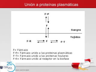 Unión a proteínas plasmáticas
 