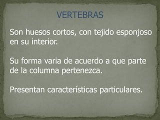 VERTEBRAS
Son huesos cortos, con tejido esponjoso
en su interior.
Su forma varia de acuerdo a que parte
de la columna pertenezca.
Presentan características particulares.
 