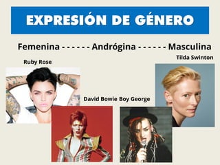 EXPRESIÓN DE GÉNERO
Femenina - - - - - - Andrógina - - - - - - Masculina
Ruby Rose
Boy George
Tilda Swinton
David Bowie
 