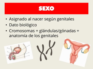 SEXO
• Asignado al nacer según genitales
• Dato biológico
• Cromosomas + glándulas/gónadas +
anatomía de los genitales
 