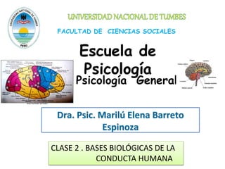 Escuela de
Psicología
Psicología General
Dra. Psic. Marilú Elena Barreto
Espinoza
CLASE 2 . BASES BIOLÓGICAS DE LA
CONDUCTA HUMANA
 