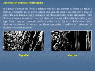 Observación directa al microscopio
Para poder observar las fibras al microscopio hay que separar las fibras del tejido y
abrirlas, colocarlas en un porta, añadir una gota de agua y colocar sobre ellas un
cubre. De esta forma es fácil distinguir las fibras naturales de las artificiales. Éstas
últimas aparecen totalmente lisas, mientras que las naturales están trenzadas y con
superficies rugosas, como se puede apreciar en la figura 1. Incluso se puede
observar claramente la mezcla de fibras (naturales y artificiales) existente en
muchos tejidos del mercado.
Algodón Viscosa
 
