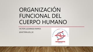 ORGANIZACIÓN
FUNCIONAL DEL
CUERPO HUMANO
VICTOR LUZURIAGA RAMOS
@VICTORLUZU_02
 