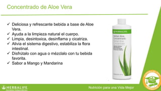 Concentrado de Aloe Vera
 Deliciosa y refrescante bebida a base de Aloe
Vera.
 Ayuda a la limpieza natural el cuerpo.
 Limpia, desintoxica, desinflama y cicatriza.
 Alivia el sistema digestivo, estabiliza la flora
intestinal.
 Disfrútalo con agua o mézclalo con tu bebida
favorita.
 Sabor a Mango y Mandarina
 