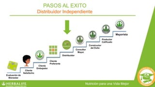 Mayorista
Productor
Calificado
Constructor
del Éxito
Consultor
Mayor
Distribuidor
Cliente
Embajador
Cliente
Preferente
Cliente
Satisfecho
Evaluación de
Bienestar
PASOS AL EXITO
Distribuidor Independiente
 