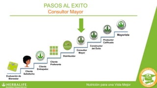 Mayorista
Productor
Calificado
Constructor
del Éxito
Consultor
Mayor
Distribuidor
Cliente
Embajador
Cliente
Preferente
Cliente
Satisfecho
Evaluación de
Bienestar
PASOS AL EXITO
Consultor Mayor
 