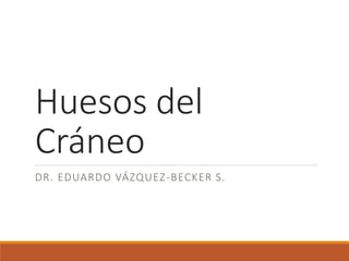 Huesos del
Cráneo
DR. EDUARDO VÁZQUEZ-BECKER S.
 