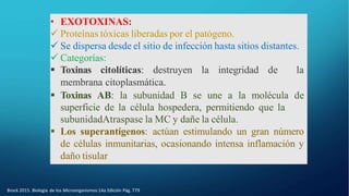 • EXOTOXINAS:
 Proteínas tóxicas liberadas por el patógeno.
 Se dispersa desde el sitio de infección hasta sitios distantes.
 Categorías:
 Toxinas citolíticas: destruyen la integridad de la
membrana citoplasmática.
 Toxinas AB: la subunidad B se une a la molécula de
superficie de la célula hospedera, permitiendo que la
subunidadAtraspase la MC y dañe la célula.
 Los superantígenos: actúan estimulando un gran número
de células inmunitarias, ocasionando intensa inflamación y
daño tisular
Brock 2015. Biología de los Microorganismos 14a Edición Pág. 779
 