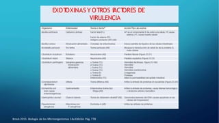EXOT
OXINASY OTROS F
ACT
ORES DE
VIRULENCIA
Brock 2015. Biología de los Microorganismos 14a Edición Pág. 778
 