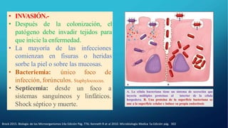 • INVASIÓN.-
• Después de la colonización, el
patógeno debe invadir tejidos para
que inicie la enfermedad.
• La mayoría de las infecciones
comienzan en fisuras o heridas
sorbe la piel o sobre las mucosas.
• Bacteriemia: único foco de
infección, forúnculos. Staphylococcus.
sistemas sanguíneos
• Septicemia: desde un foco a
y linfáticos.
Shock séptico y muerte.
Brock 2015. Biología de los Microorganismos 14a Edición Pág. 776; Kenneth R et al 2010. Microbiología Medica 5a Edición pág. 302
A. La célula bacteriana tiene un sistema de secreción que
inyecta múltiples proteínas al interior de la célula
hospedera. B. Una proteína de la superficie bacteriana se
une a la superficie celular e induce su propia endocitosis
 