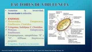invasividad,
• Aumentan la
favoreciendo la infección.
• ENZIMAS:
 Hialuronidasa. Estreptococos,
Estafilococos, Clostridios.
 Colagenasa, fosfolipasa C. Clostridios.
 Proteasas. Estreptococos,
Estafilococos.
 Estreptoquinasas, estreptolisinas “S” y
“O”, ADNasas. Streptococcus
pyogenes.
 Coagulasa. Staphylococcusaureus.
Brock 2015. Biología de los Microorganismos 14a Edición Pág. 777; Jawetz 2016. Medical Microbiology ESP pág. 162
 