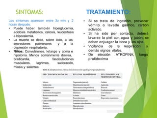 SINTOMAS:
• Vigilancia de la respiración y
demás signos vitales.
• De elección ATROPINA, luego
pralidoxima
TRATAMIENTO:
• Si se trata de ingestión, provocar
vómito o lavado gástrico, carbón
activado.
• Si ha sido por contacto, deberá
lavarse la piel con agua y jabón, se
deben enjuagar la boca y los ojos.
Los síntomas aparecen entre 3o min y 2
horas después.
• Puede haber también hiperglucemia,
acidosis metabólica, cetosis, leucocitosis
e hipocalemia.
• La muerte se debe, sobre todo, a las
secreciones pulmonares y a la
depresión respiratoria.
• Niños: Convulsiones, letargo y coma e
hipotonía. Menos comúnmente diarrea,
bradicardia,
musculares, lagrimeo,
fasciculaciones
sudoración,
miosis y sialorrea.
 