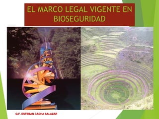 EL MARCO LEGAL VIGENTE EN
BIOSEGURIDAD
Q.F. ESTEBAN CACHA SALAZARQ.F. ESTEBAN CACHA SALAZAR
 
