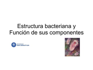 Estructura bacteriana y Función de sus componentes 