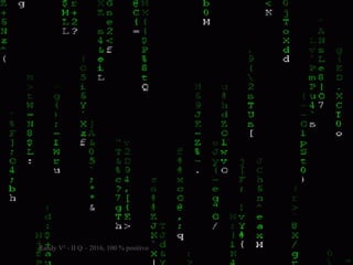 3 Randy V² - II Q – 2016, 100 % positivo
 