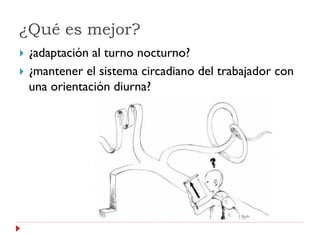 ¿Qué es mejor?
   ¿adaptación al turno nocturno?
   ¿mantener el sistema circadiano del trabajador con
    una orientación diurna?
 