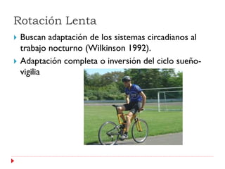 Rotación Lenta
   Buscan adaptación de los sistemas circadianos al
    trabajo nocturno (Wilkinson 1992).
   Adaptación completa o inversión del ciclo sueño-
    vigilia
 