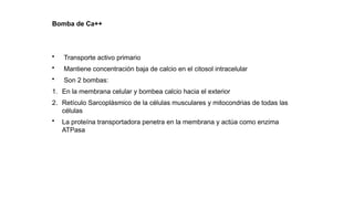 Transporte de sustancias a través de la membrana celular | PPTX