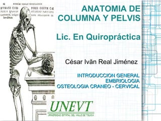 ANATOMIA DE
COLUMNA Y PELVIS

Lic. En Quiropráctica

  César Ivăn Real Jiménez

      INTRODUCCION GENERAL
                EMBRIOLOGIA
OSTEOLOGIA CRANEO - CERVICAL
 