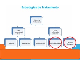 Pilares de
Tratamiento
De la
enfermedad
local
De la
enfermedad
sistémica
Terapias
Biológicas
Cirugía Radioterapia Quimiote...