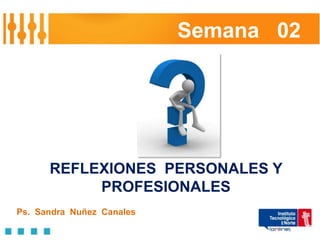Semana 02




      REFLEXIONES PERSONALES Y
           PROFESIONALES
Ps. Sandra Nuñez Canales
 