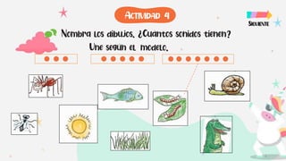 Nombra los dibujos. ¿Cuántos sonidos tienen?
Une según el modelo.
SIGUIENTE
ACTIVIDAD 4
 