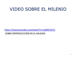 VIDEO SOBRE EL MILENIO
https://www.youtube.com/watch?v=rjqlNGTuFCc
SOBRE REPRODUCCIÓN EN EL MILENIO
14
 