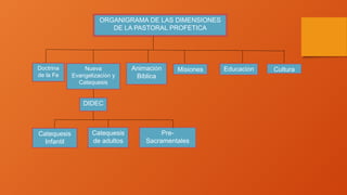 ORGANIGRAMA DE LAS DIMENSIONES
DE LA PASTORAL PROFETICA
Pre-
Sacramentales
Catequesis
de adultos
Catequesis
Infantil
DIDEC
Cultura
Nueva
Evangelización y
Catequesis
Educación
Misiones
Animación
Bíblica
Doctrina
de la Fe
 